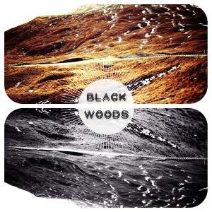 Black-Woods-The-Strange-Crow