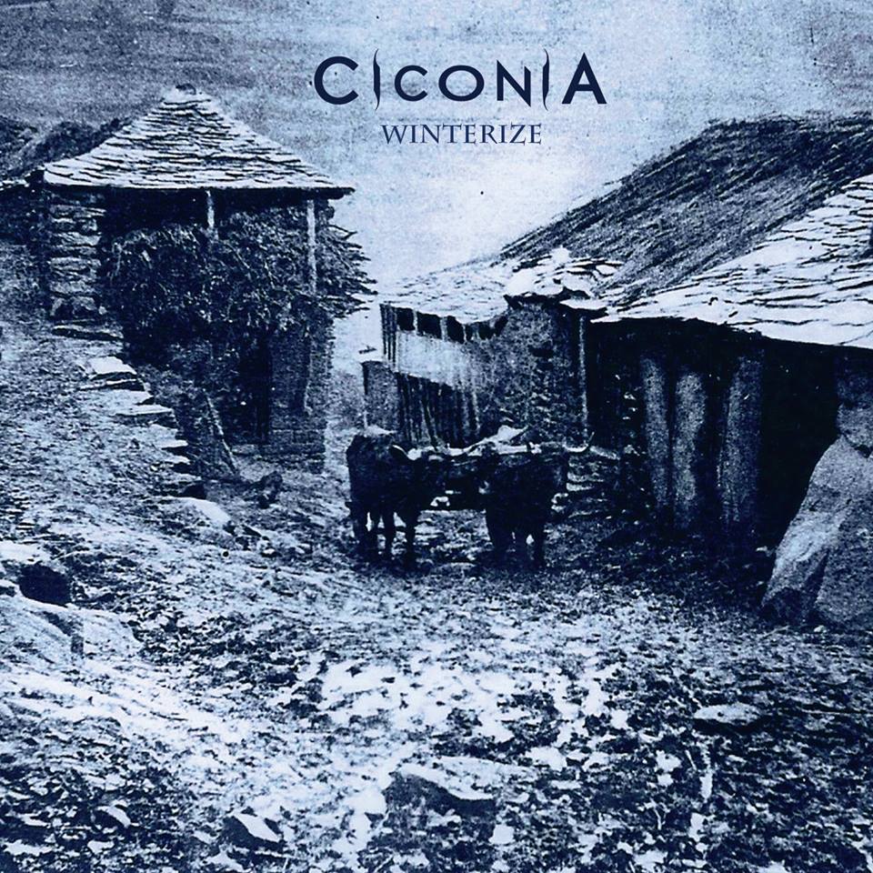 Ciconia - Winterize