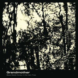 bees-made-honey-in-the-vein-tree-grandmother_opt