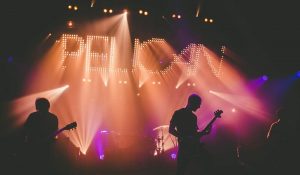 pelican-band_opt