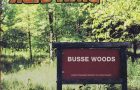 acid-king-busse-woods