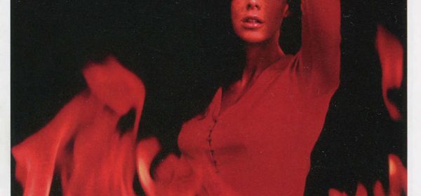 the-firebirds-light-my-fire