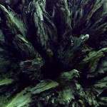 Celacanto – «S/T» (2014)