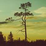 Hijo De La Tormenta – «S/T» (2014)