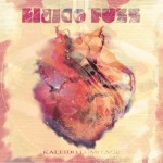 Libido Fuzz – «Kaleido Lumo Age» (2015)