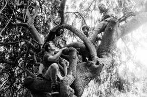 Elephant Tree anuncia nuevos fechas y próximo álbum de estudio