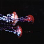 Sonidos Del Ayer: Viaje a 800 – «Estampida De Trombones» (2007)