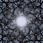 Celacanto – «Cementerio De Gigantes» (2017)