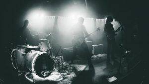 Clan regresan este año más carnívoros que nunca