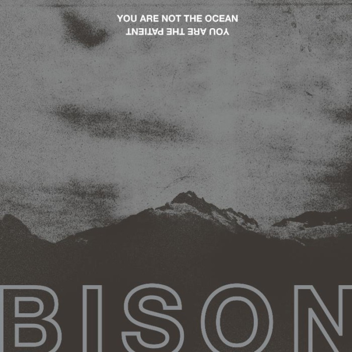 ¿Qué estáis escuchando ahora? Bison-Your-Are-Not-The-Ocean-You-Are-The-Patient