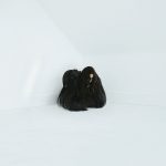 Chelsea Wolfe – “Hiss Spun” (2017)