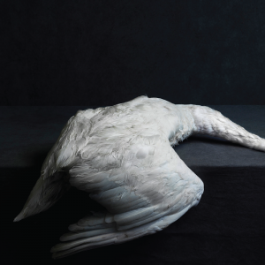 amenra-mass-vi_opt