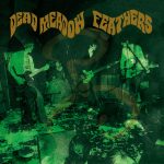 Sonidos Del Ayer: Dead Meadow – «Feathers» (2005)