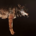 Melange – «Viento Bravo» (2017)