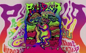Crónica PsicoDelia Festival – Madrid Ácido (Jornada I)