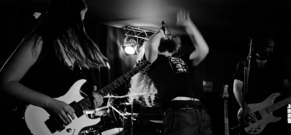 krazark-live-band