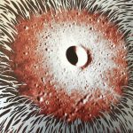 Sonidos Del Ayer; Astrosoniq – «Son Of A.P. Lady» (2000)