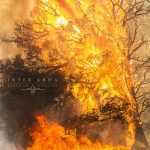 Inter Arma – “Sulphur English”; Delirios de grandeza…