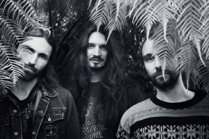 Swan Valley Heights, la última de las adquisiciones de Fuzzorama Records