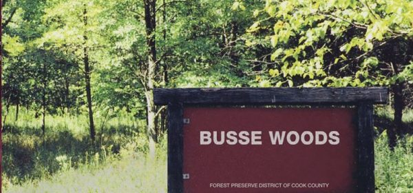 acid-king-busse-woods
