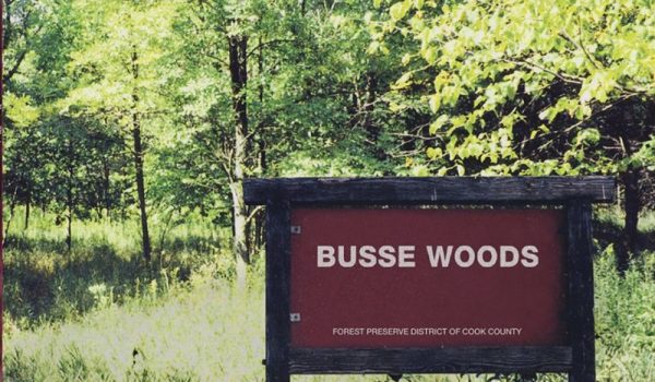 acid-king-busse-woods