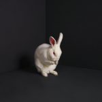 Brume – “Rabbits”; La elegancia como alternativa…