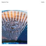 Elephant Tree – «Habits» (2020)