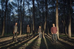 Estrenamos en exclusiva “Firewood Plant”, single del próximo álbum debut de Firewood