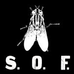 “The Jaunt” es el nuevo adelanto del colectivo neoyorquino Swarm Of Flies