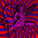 The Atomic Bitchwax – “Scorpio”; Centauros del desierto…