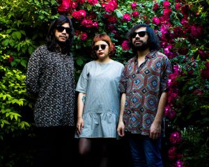 “Expansion” sigue avanzando el camino al próximo álbum de  The Slow Voyage