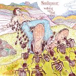 Needlepoint – “Walking Up That Valley”; Filosofía progresiva…