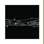 Amenra – “De Doorn”; Devastando las emociones…