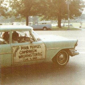 Escandinavia Desértica (VIII); Demon Cleaner – «The Freelight» (2000)