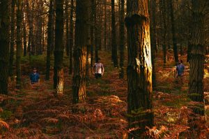 “Too Many Wizards”, nuevo videoclip de Green Desert Water