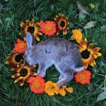 Monolord – “Your Time To Shine” (2021)