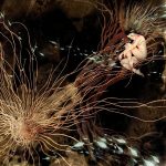 Sonidos Del Ayer; Arenna – “Beats Of Olarizu” (2011)