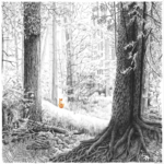 DoctoR DooM – “A Shadow Called Danger” (2022)