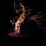 Swan Valley Heights – “Terminal Forest” (2023)