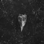 “Aion”, la inmersión al doom atmosférico en lo nuevo de Bees Made Honey In The Vein Tree