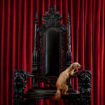 Brume – “Marten”; Frágil dramatismo, melancólica pesadez…