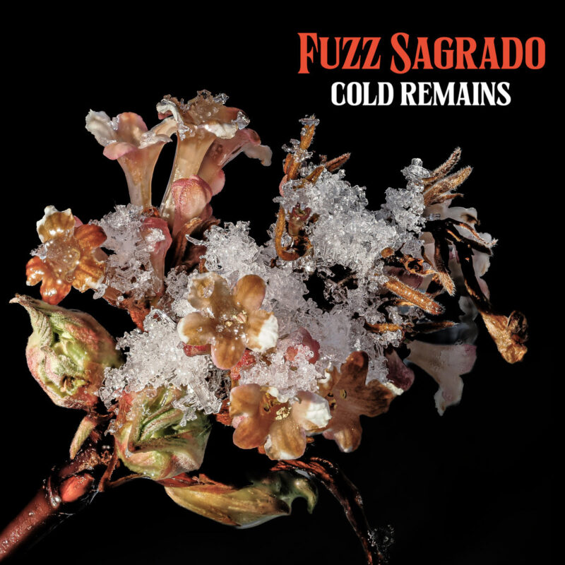 Fuzz Sagrado – “Cold Remains”; Hurgando en los orígenes del señor Peters…