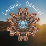 Lorquin’s Admiral – “S/T” (2025)