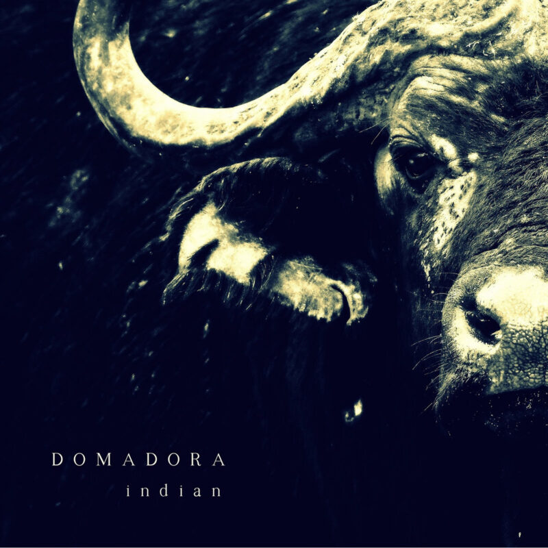 Domadora – “Indian” (2025)