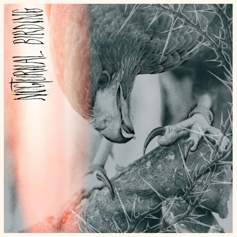 Author & Punisher – “Nocturnal Birding” (2025)