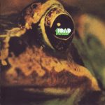 Ecos De Sabbath; Toad – “S/T” (1971)